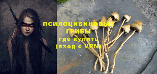 дурь Алексин