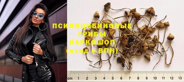 дурь Алексин